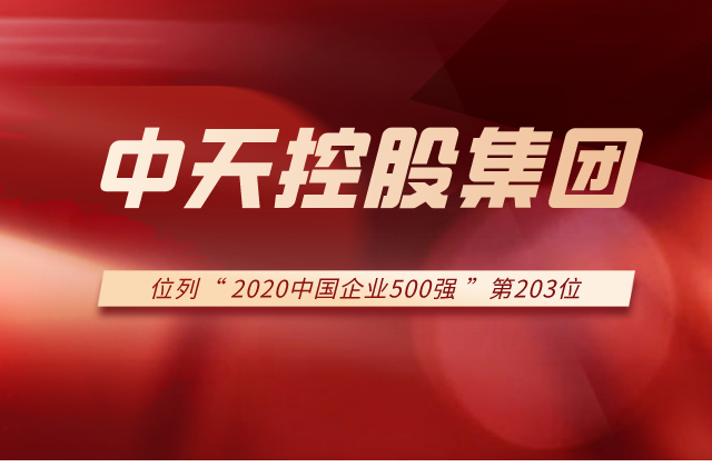 AG贵宾会集团列2020中国企业500强第203位！